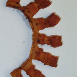 Speckring - Versand RO