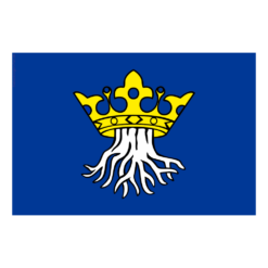 Fahne mit dem Wappen von Kronstadt im Burzenland