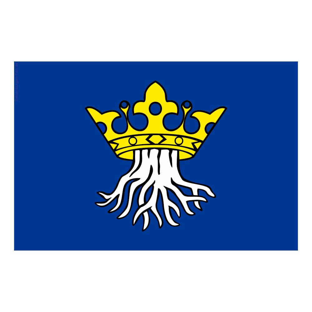 Fahne mit dem Wappen von Kronstadt im Burzenland
