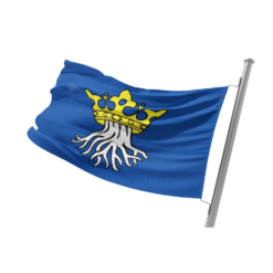 Wappen von Kronstadt