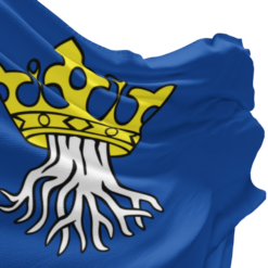 Wappen von Kronstadt