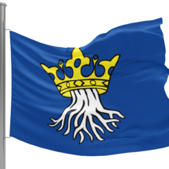 Alternative view of Fahne Kronstadt