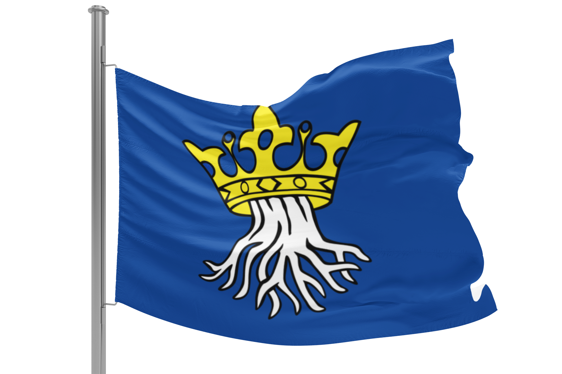 Fahne Kronstadt – Bild 2