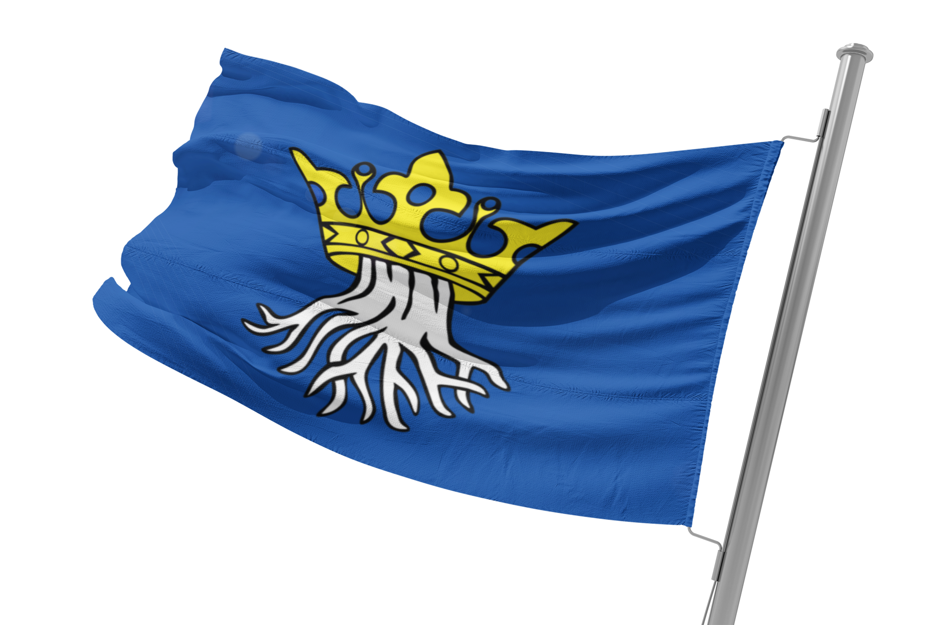 Fahne Kronstadt – Bild 3