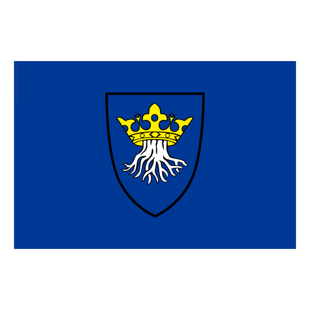 Wappen von Kronstadt auf blauem Grund