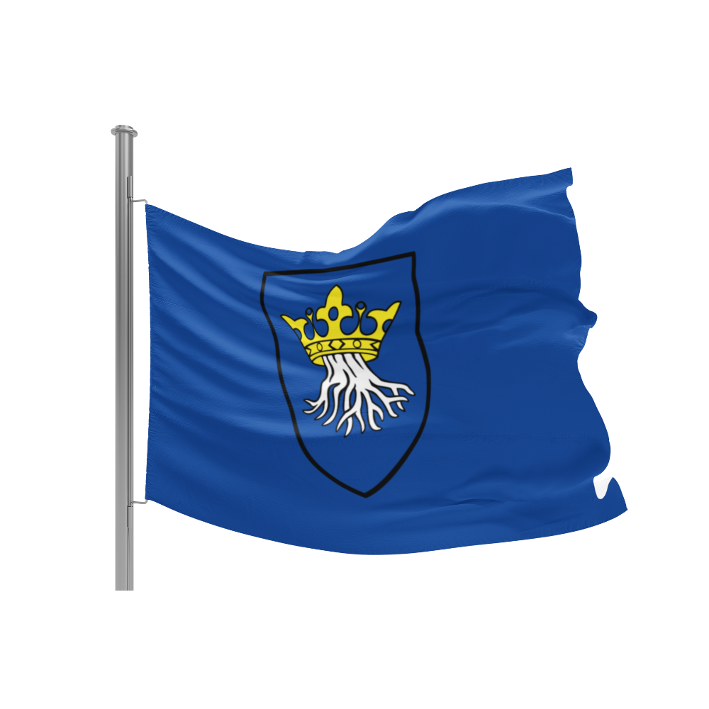 Wappen von Kronstadt auf blauem Grund