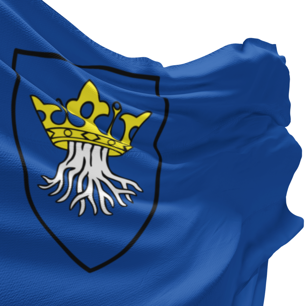 Wappen von Kronstadt auf blauem Grund