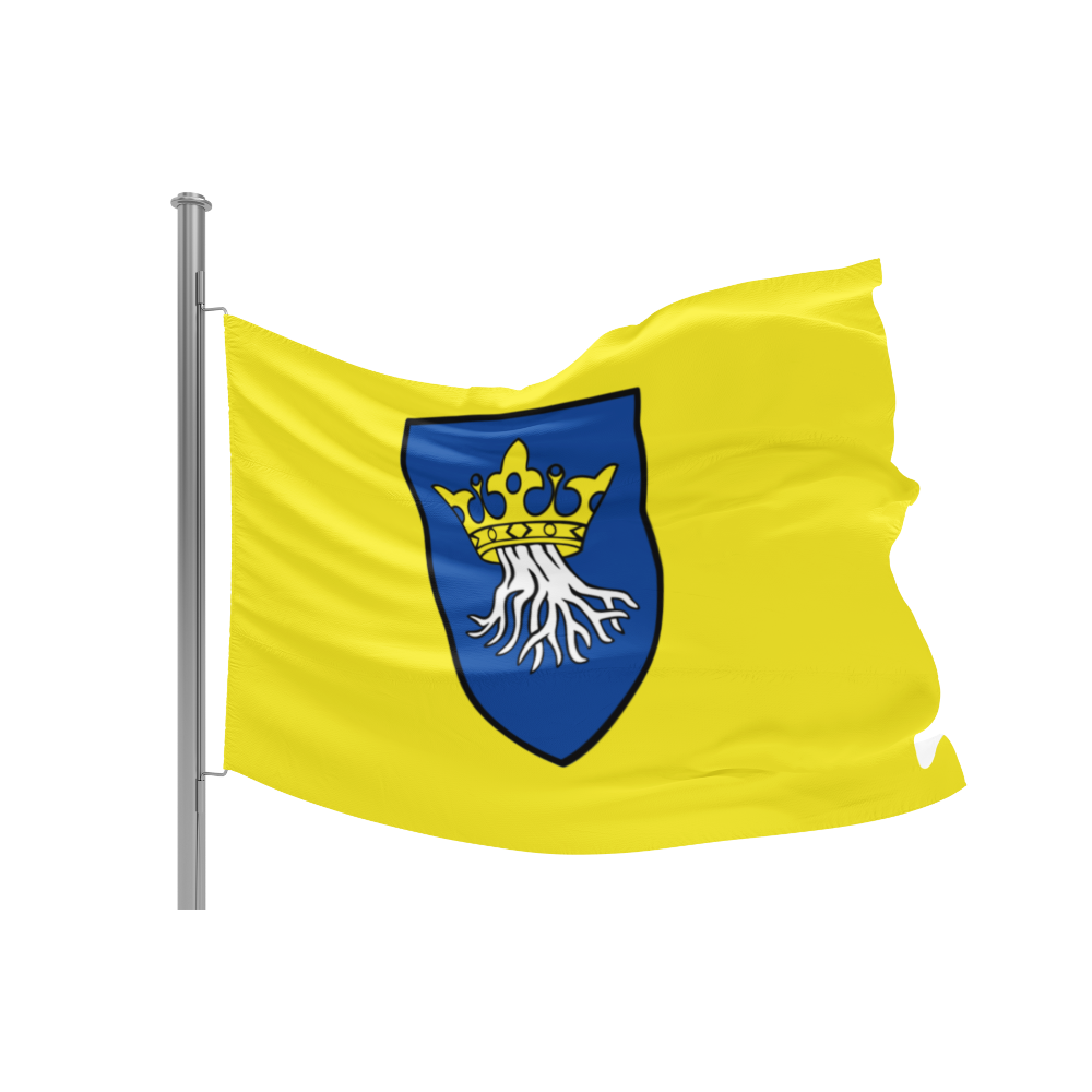 Wappen von Kronstadt auf gelbem Grund