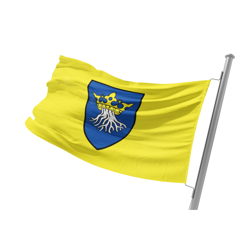 Wappen von Kronstadt auf gelbem Grund